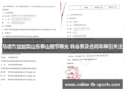 马德鲁加加盟山东泰山细节曝光 转会费及合同年限引关注