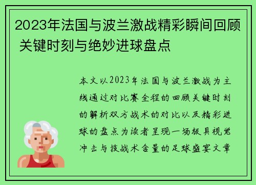 2023年法国与波兰激战精彩瞬间回顾 关键时刻与绝妙进球盘点
