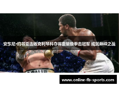 安东尼·约书亚击败克利琴科夺得重量级拳击冠军 成就巅峰之战