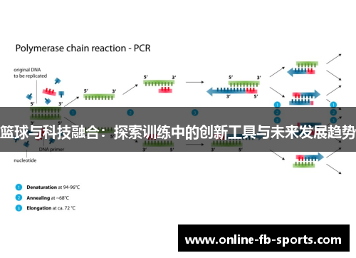 篮球与科技融合：探索训练中的创新工具与未来发展趋势